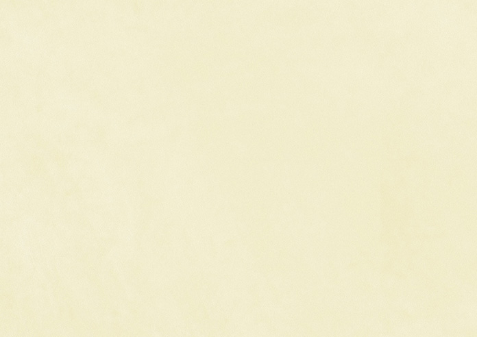 Odessa Velvet, Oyster - Twist&Fit Roman Blind - Image 8